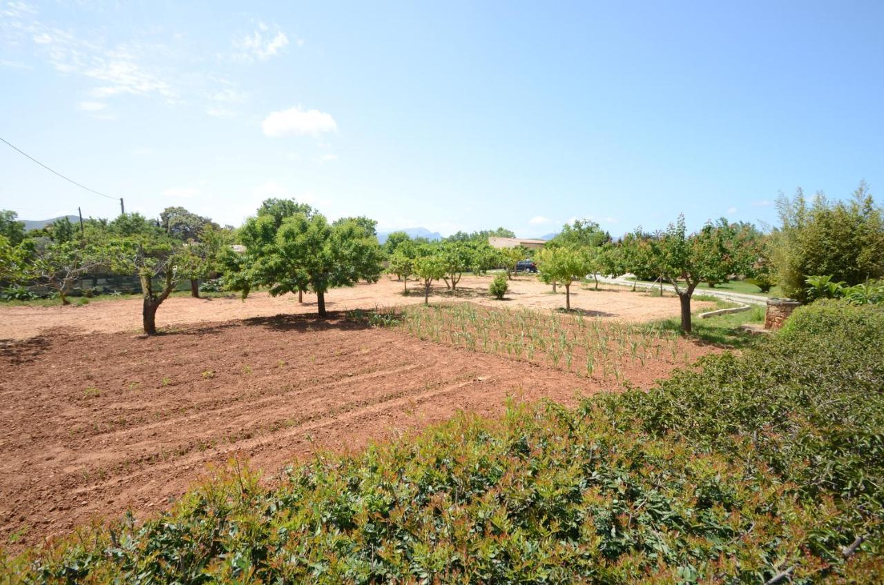 Villa Can Pau, Pool And Garden Close To The Beach Port de Alcudia  Buitenkant foto